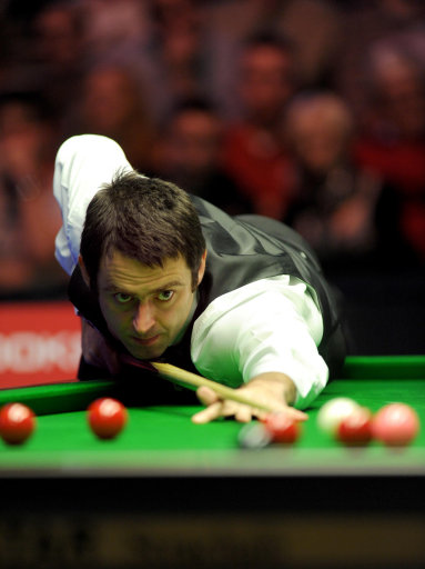 最喜欢的动 最喜欢的动