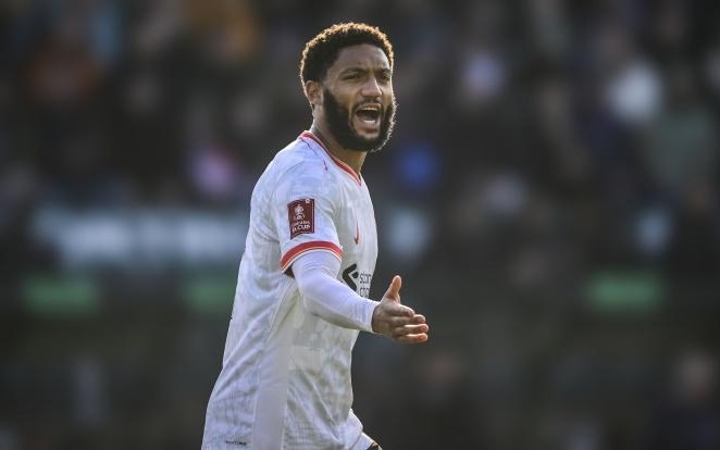 力东道主球 力东道主球