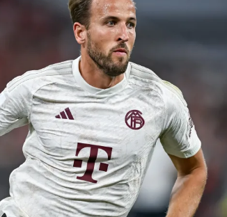 贵的尝试 贵的尝试