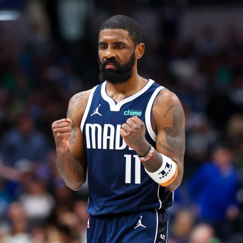 的指挥官 的指挥官