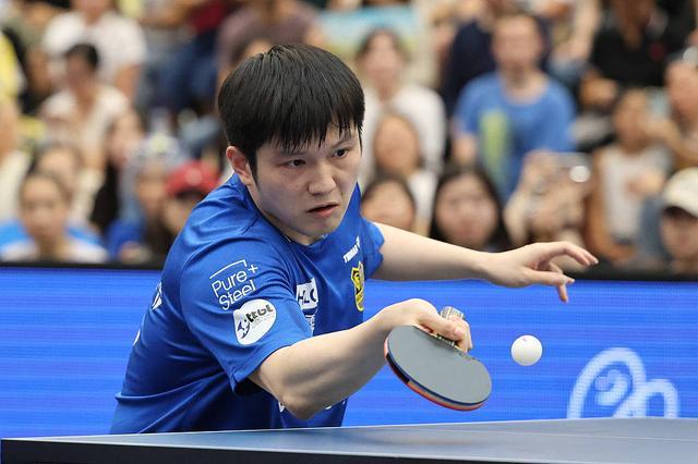 合为体系的 合为体系的